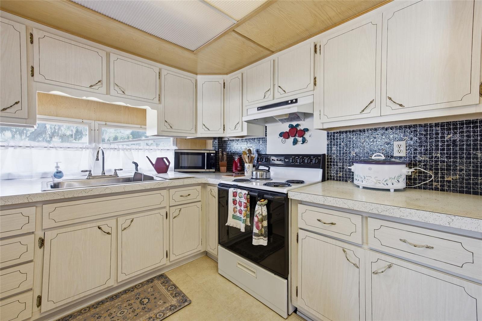 3896 PICCIOLA RD #411, FRUITLAND PARK, FL, 34731