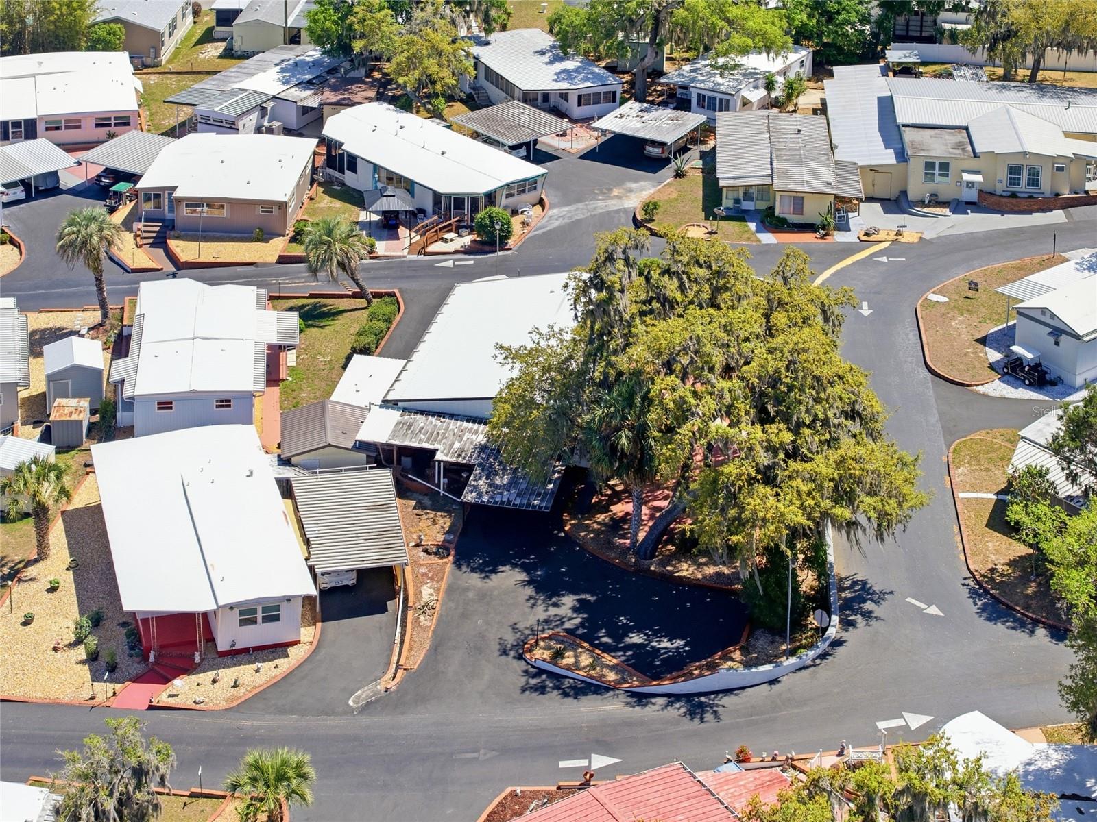 3896 PICCIOLA RD #411, FRUITLAND PARK, FL, 34731