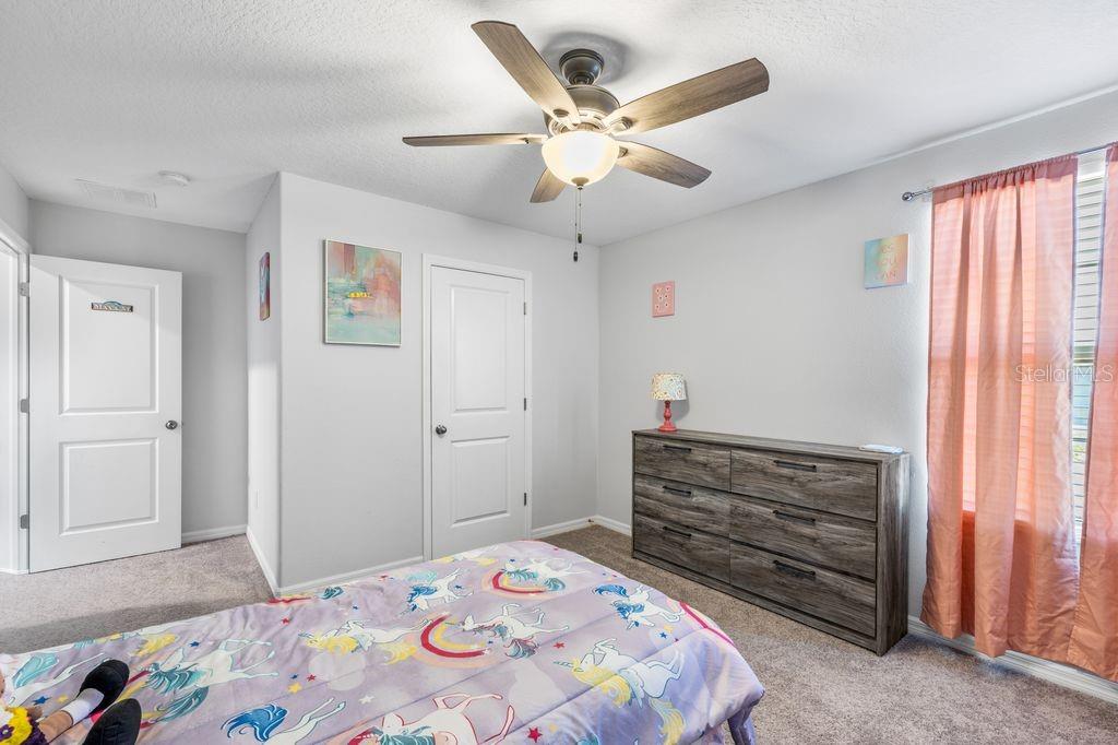 3703 GLOBE THISTLE DR, TAMPA, FL, 33619