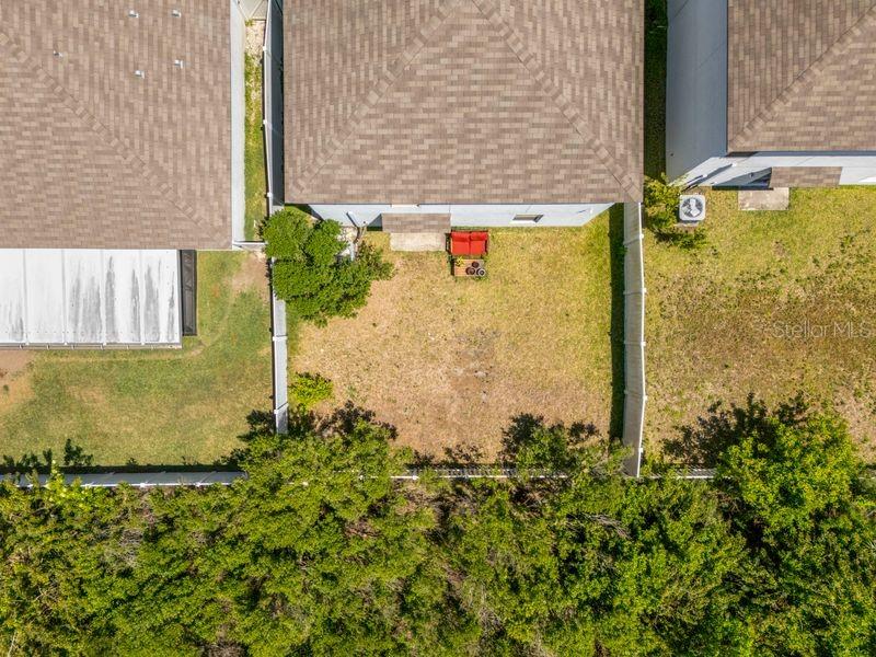 3703 GLOBE THISTLE DR, TAMPA, FL, 33619