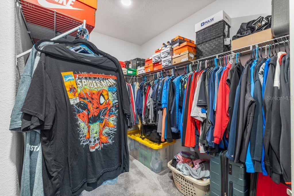 3703 GLOBE THISTLE DR, TAMPA, FL, 33619