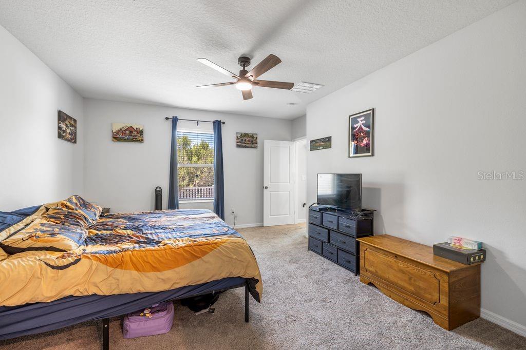 3703 GLOBE THISTLE DR, TAMPA, FL, 33619