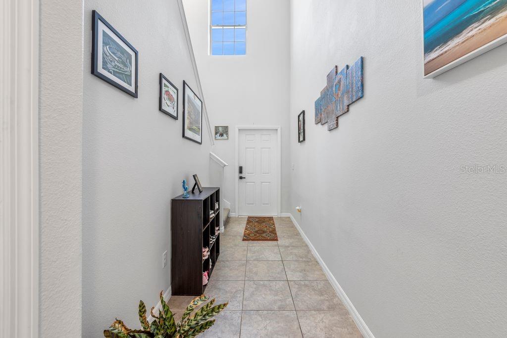 3703 GLOBE THISTLE DR, TAMPA, FL, 33619