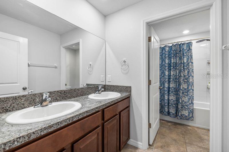 3703 GLOBE THISTLE DR, TAMPA, FL, 33619