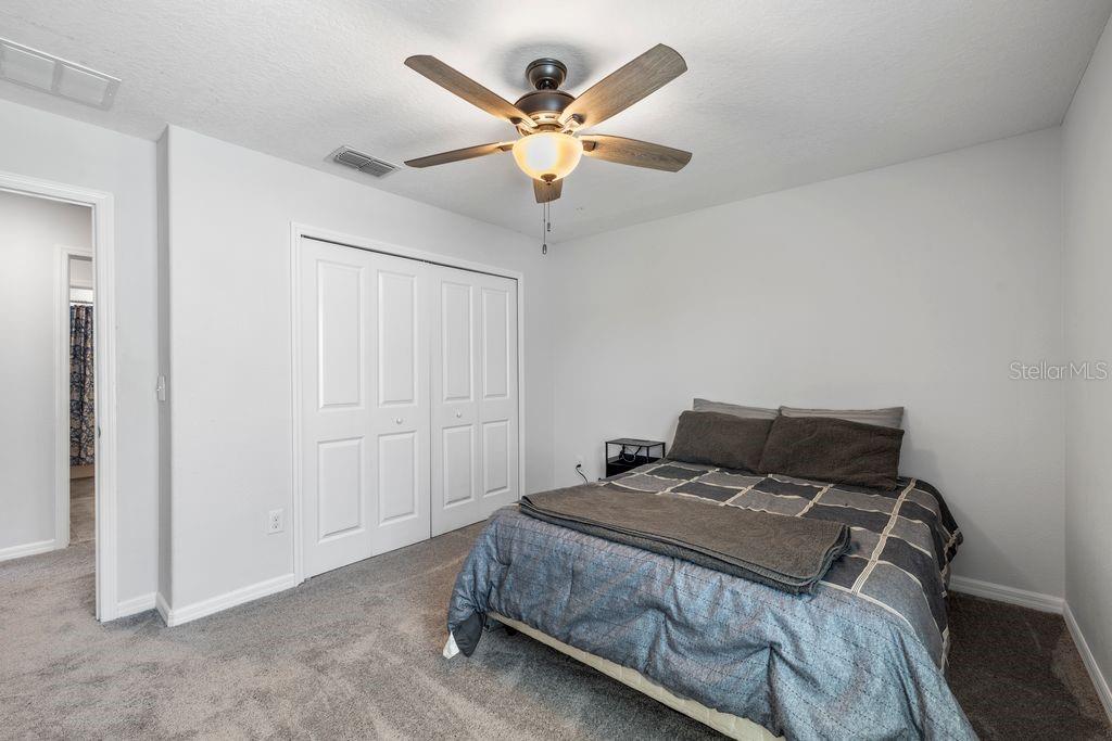 3703 GLOBE THISTLE DR, TAMPA, FL, 33619