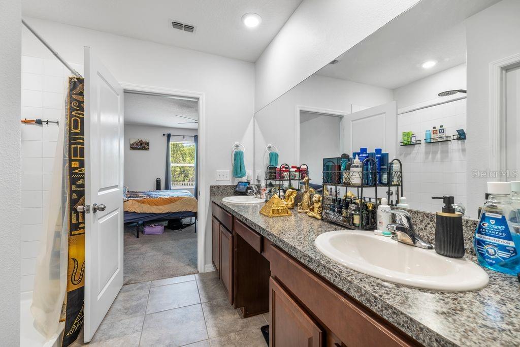 3703 GLOBE THISTLE DR, TAMPA, FL, 33619