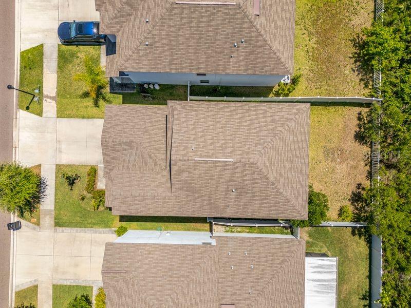 3703 GLOBE THISTLE DR, TAMPA, FL, 33619