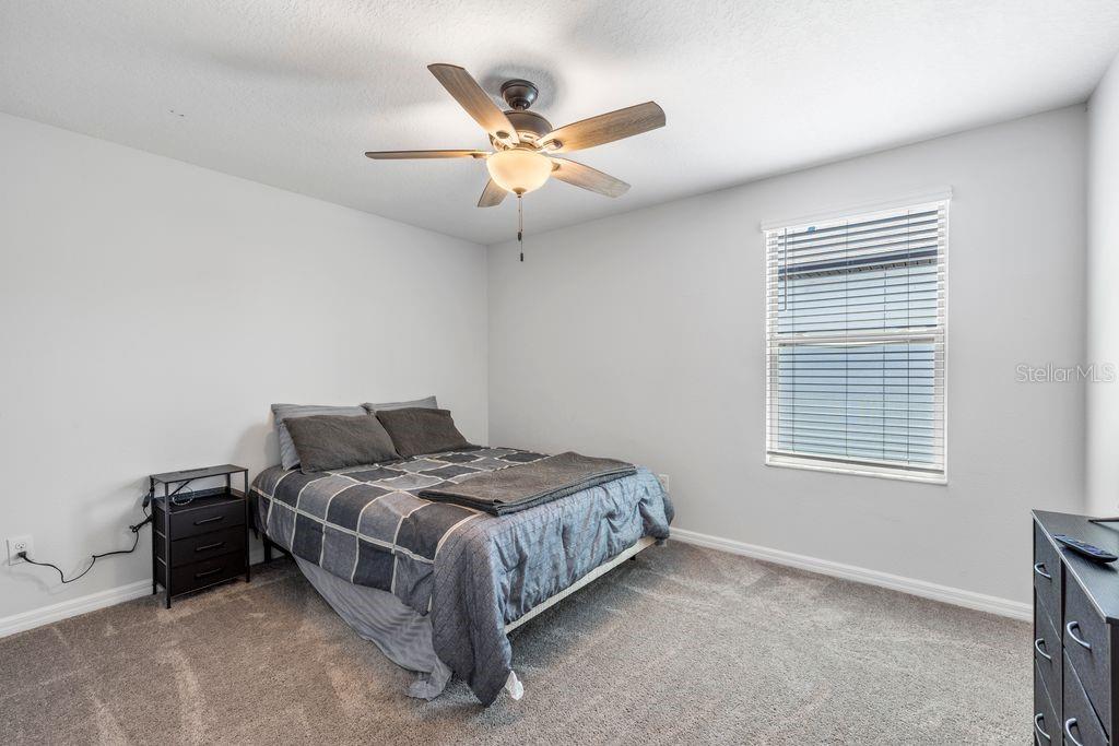 3703 GLOBE THISTLE DR, TAMPA, FL, 33619