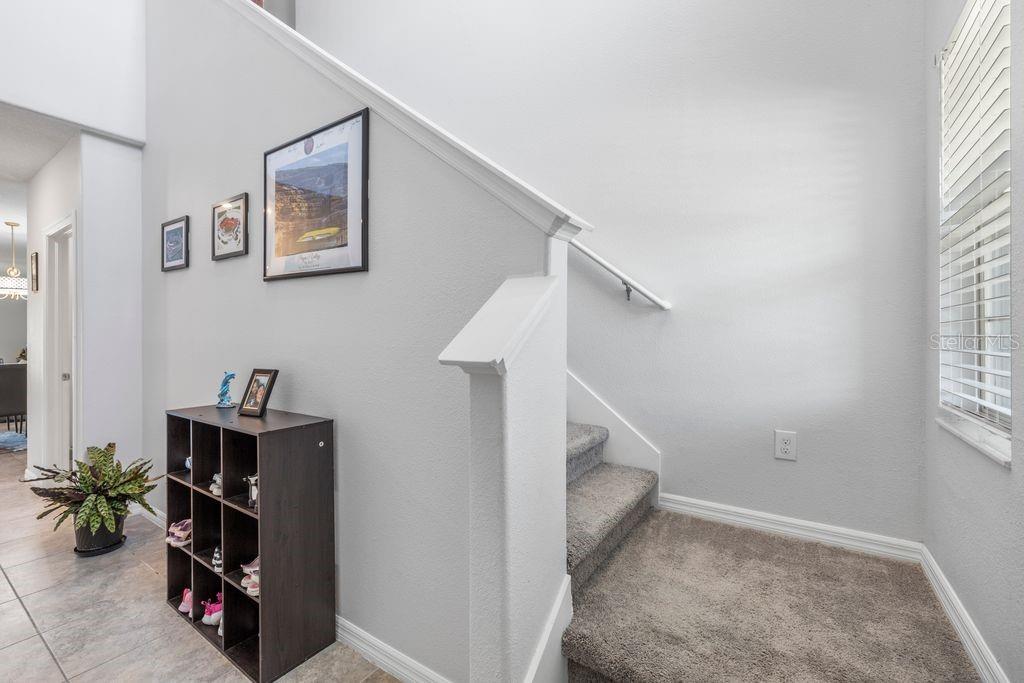 3703 GLOBE THISTLE DR, TAMPA, FL, 33619