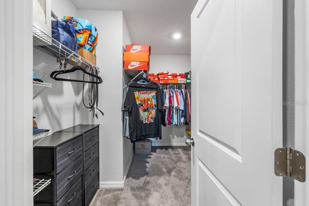 3703 GLOBE THISTLE DR, TAMPA, FL, 33619