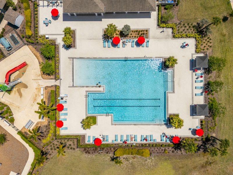 3703 GLOBE THISTLE DR, TAMPA, FL, 33619