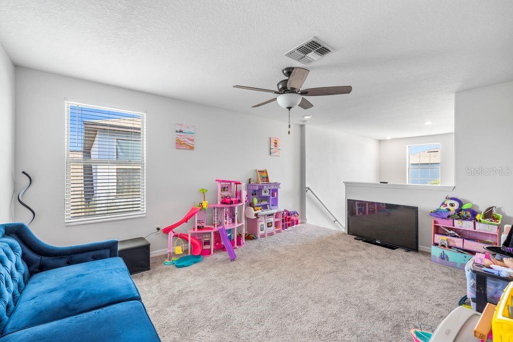 3703 GLOBE THISTLE DR, TAMPA, FL, 33619