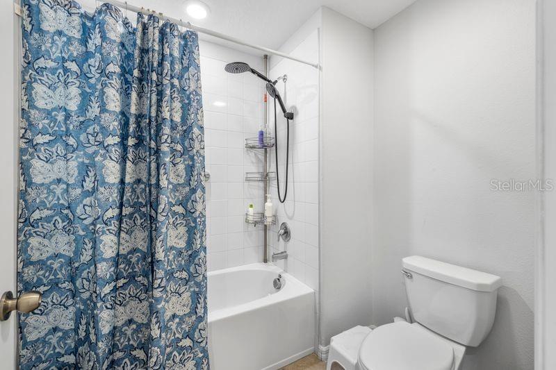 3703 GLOBE THISTLE DR, TAMPA, FL, 33619