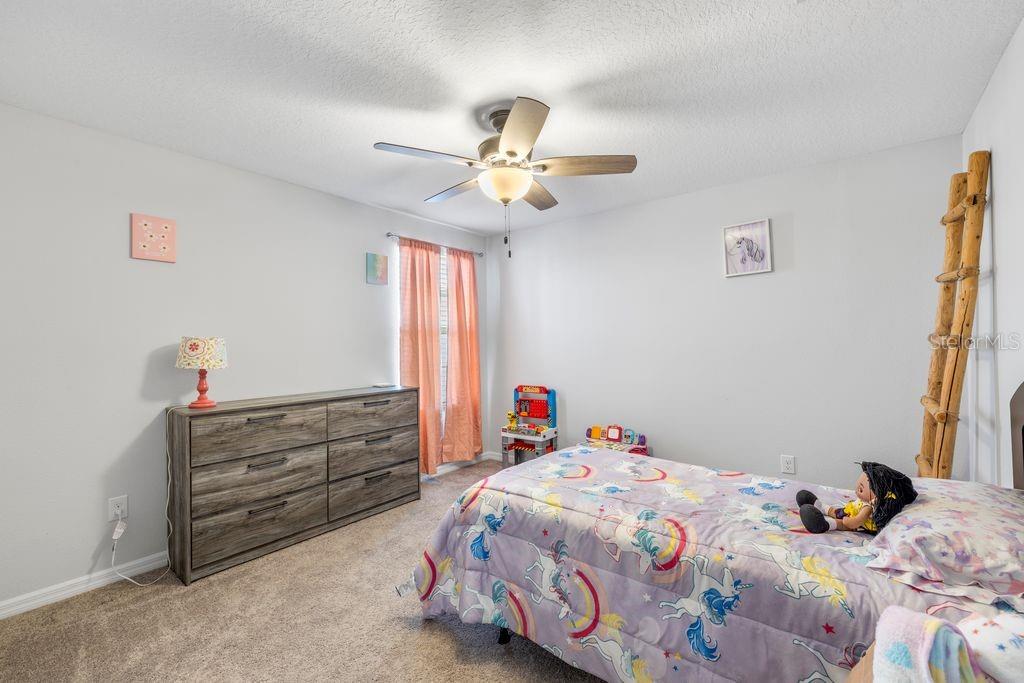 3703 GLOBE THISTLE DR, TAMPA, FL, 33619