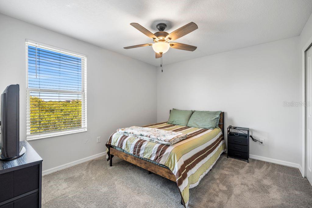 3703 GLOBE THISTLE DR, TAMPA, FL, 33619