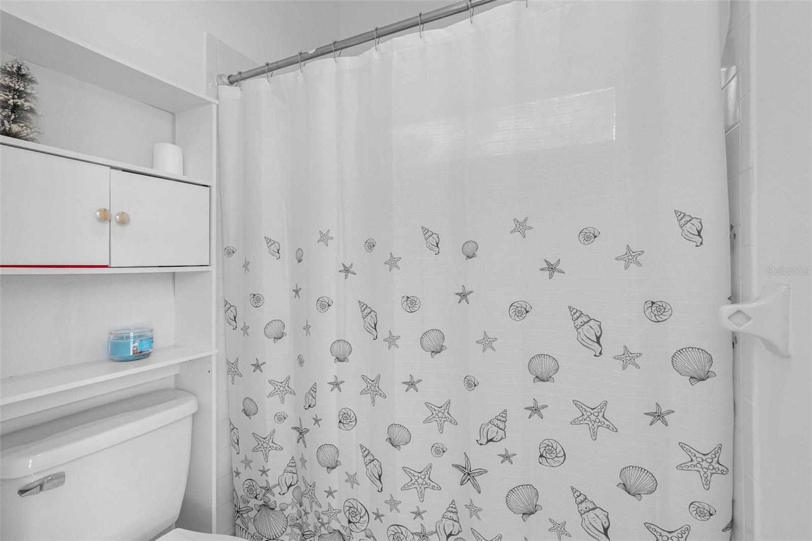 12270 PADRON BLVD, SPRING HILL, FL, 34609