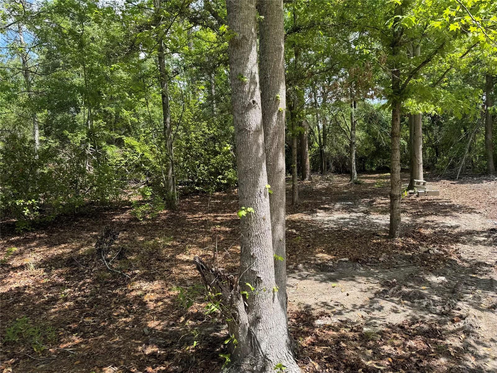 8041 NW 152, JENNINGS, FL, 32053