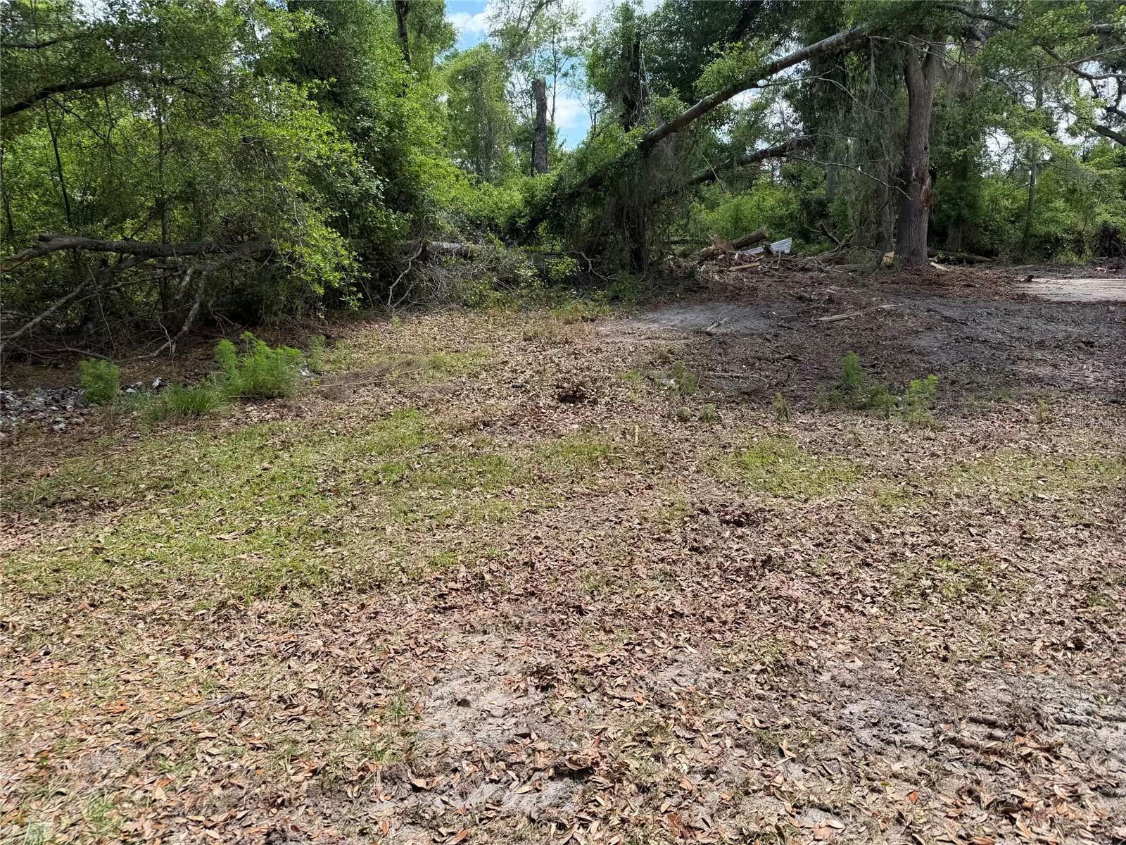 8041 NW 152, JENNINGS, FL, 32053