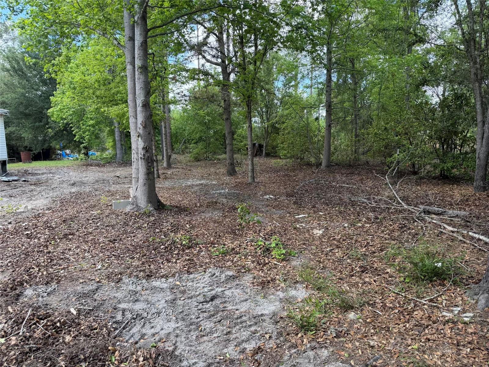 8041 NW 152, JENNINGS, FL, 32053