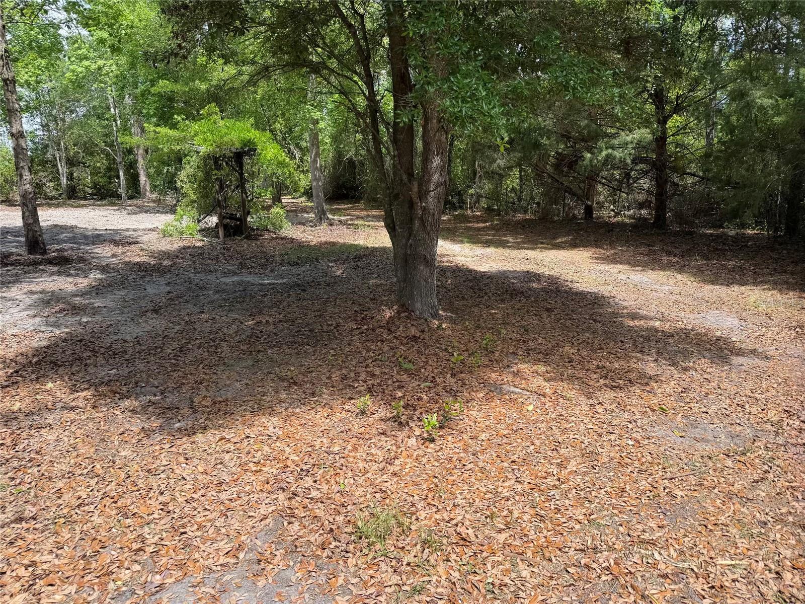 8041 NW 152, JENNINGS, FL, 32053