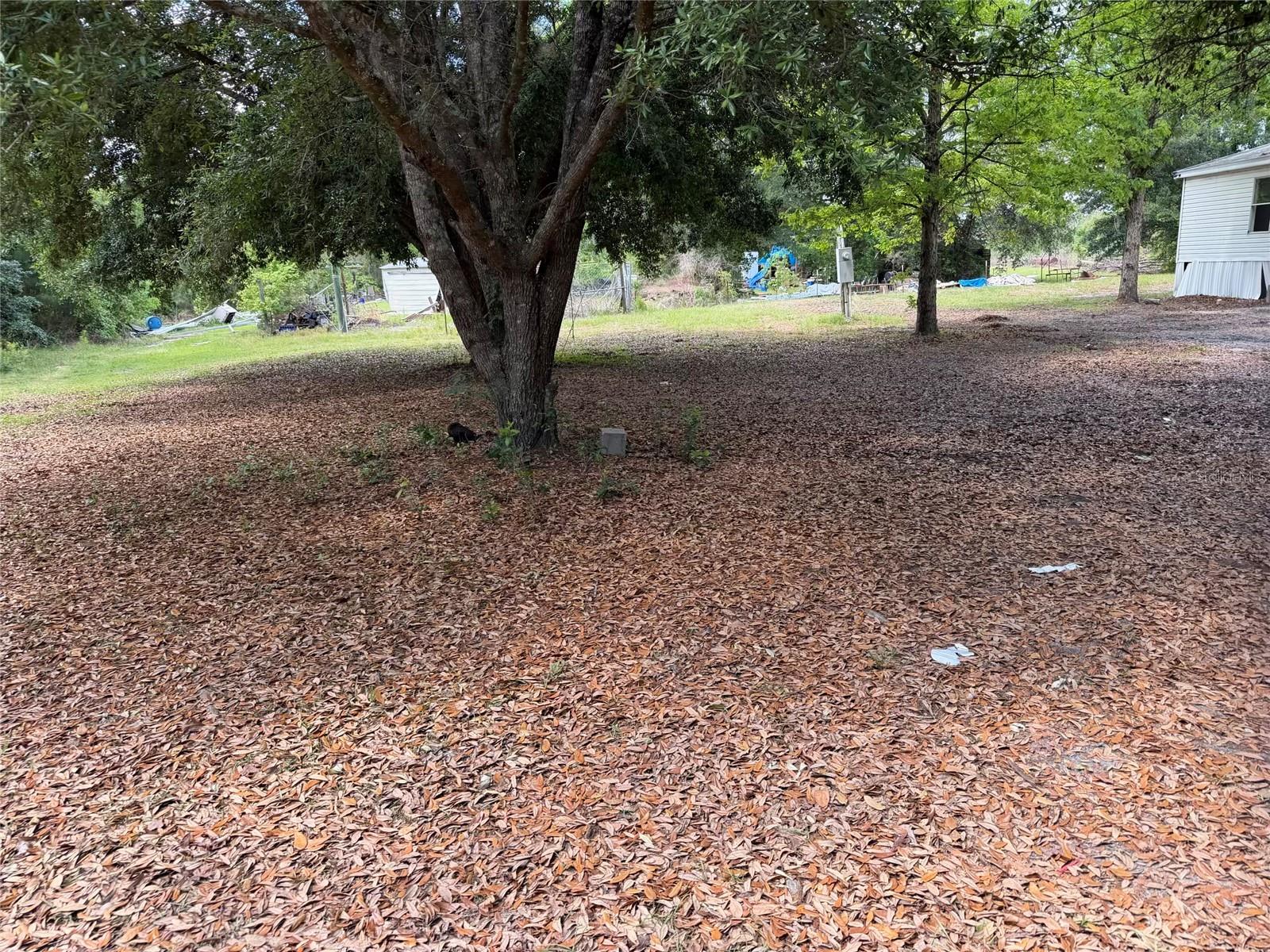 8041 NW 152, JENNINGS, FL, 32053