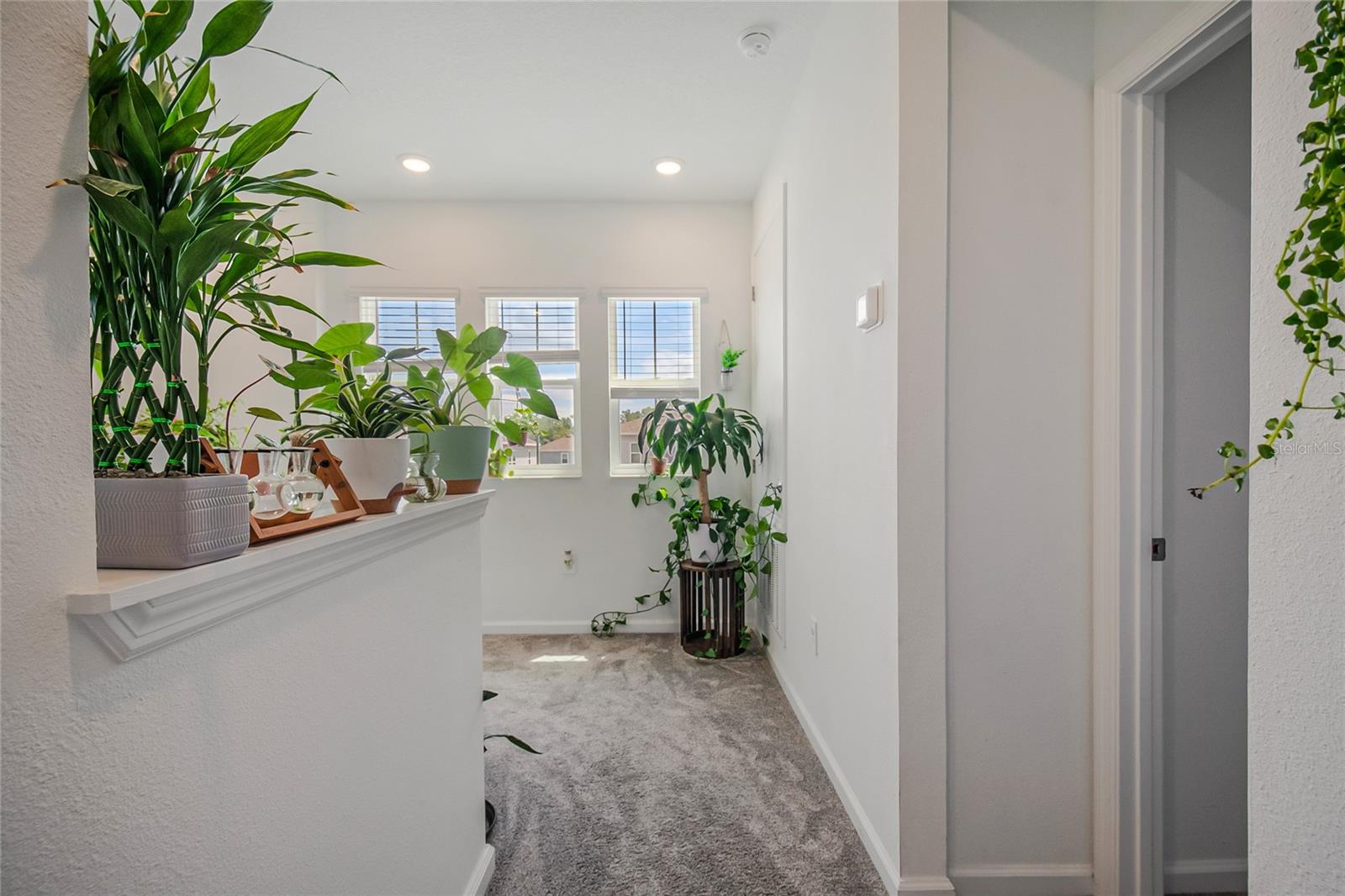 2200 SWEET HONEY LN, APOPKA, FL, 32712