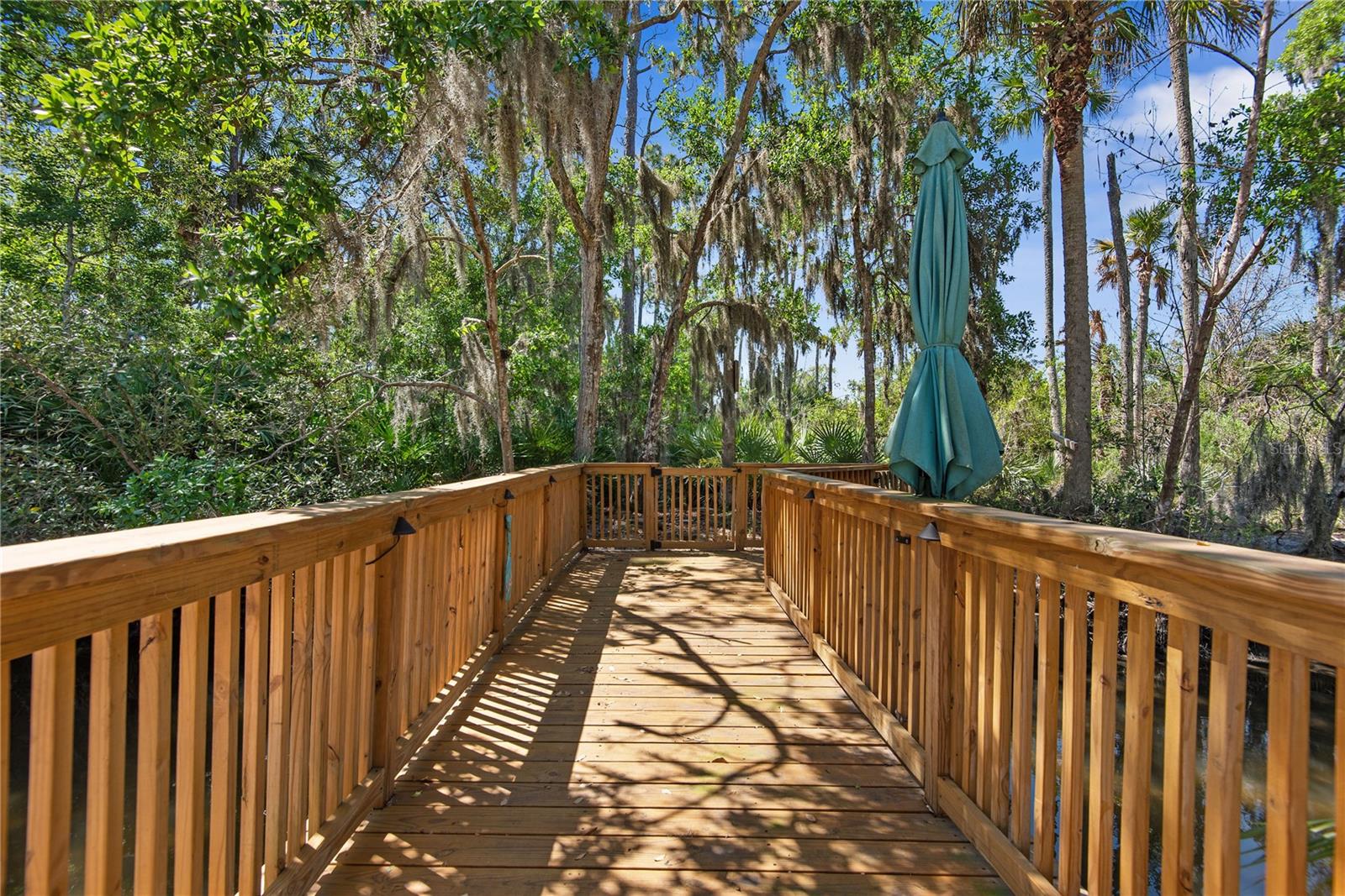 116 PINE TREE ST, FLAGLER BEACH, FL, 32136