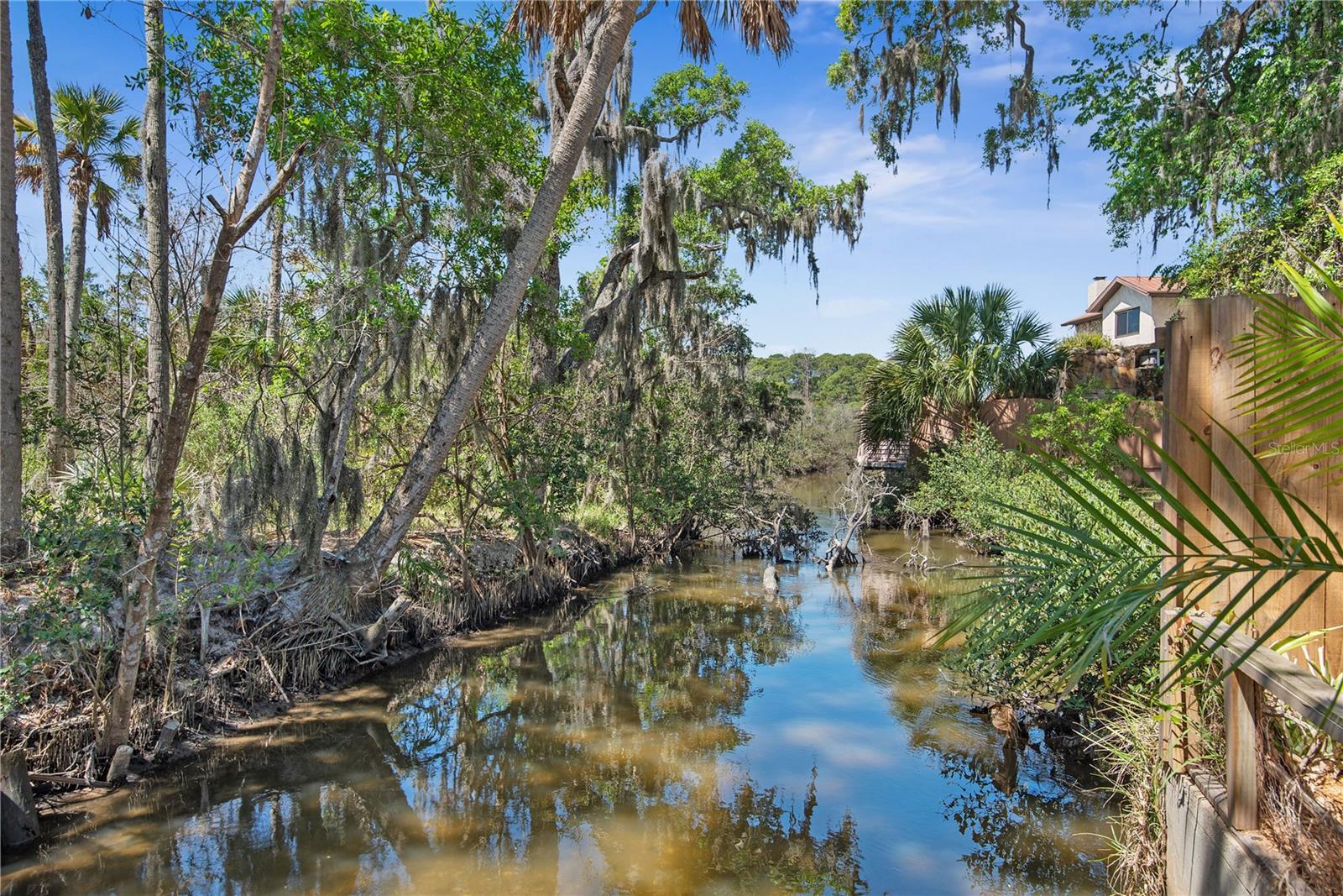 116 PINE TREE ST, FLAGLER BEACH, FL, 32136