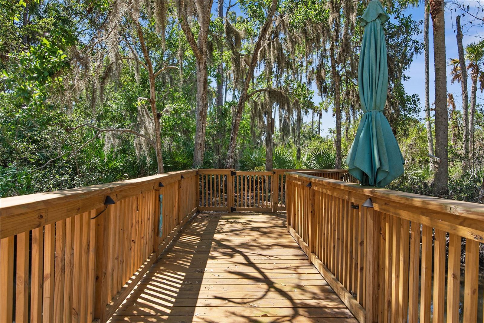 116 PINE TREE ST, FLAGLER BEACH, FL, 32136