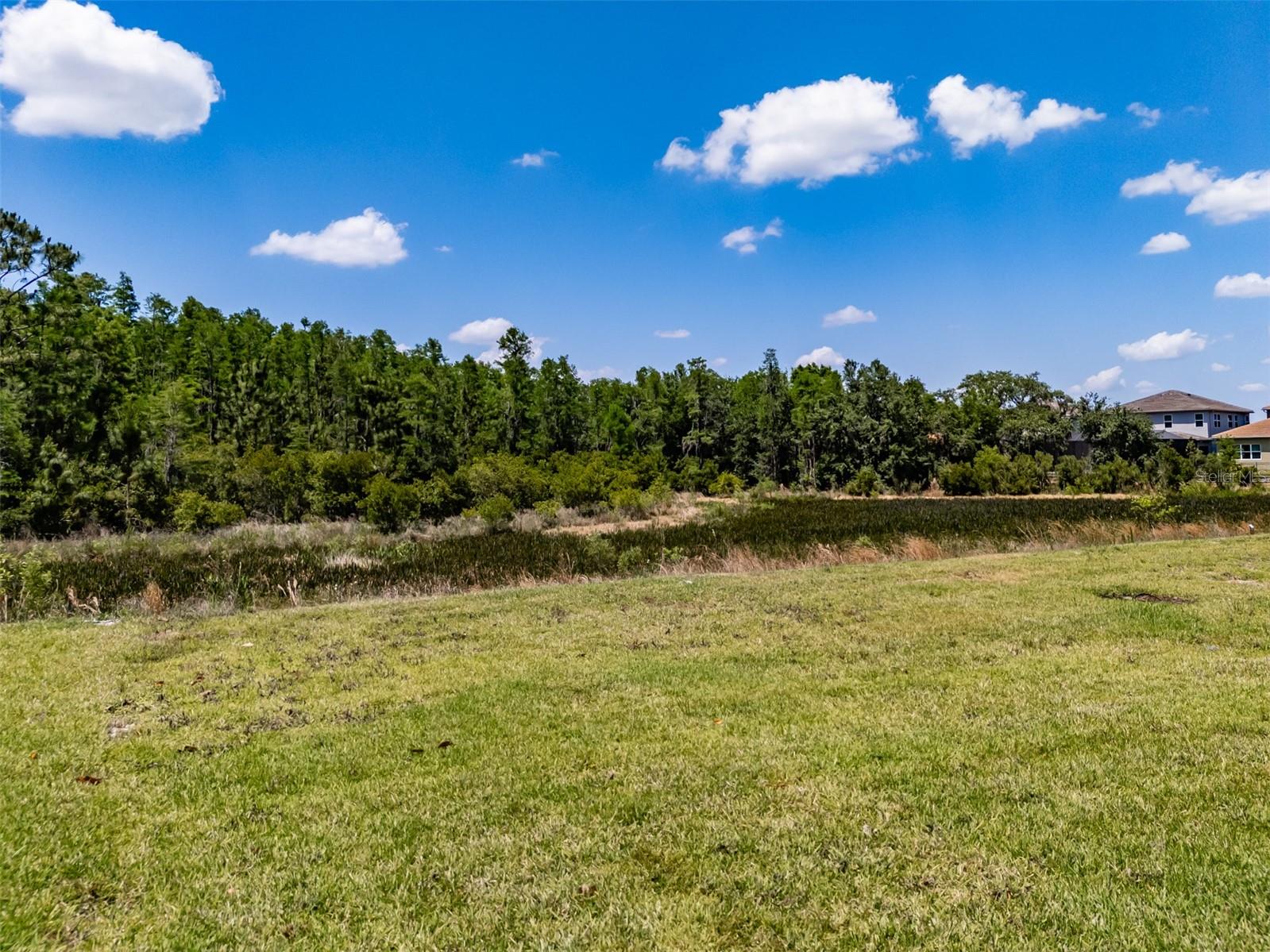 32277 MAHOGANY VALLEY DR, WESLEY CHAPEL, FL, 33543