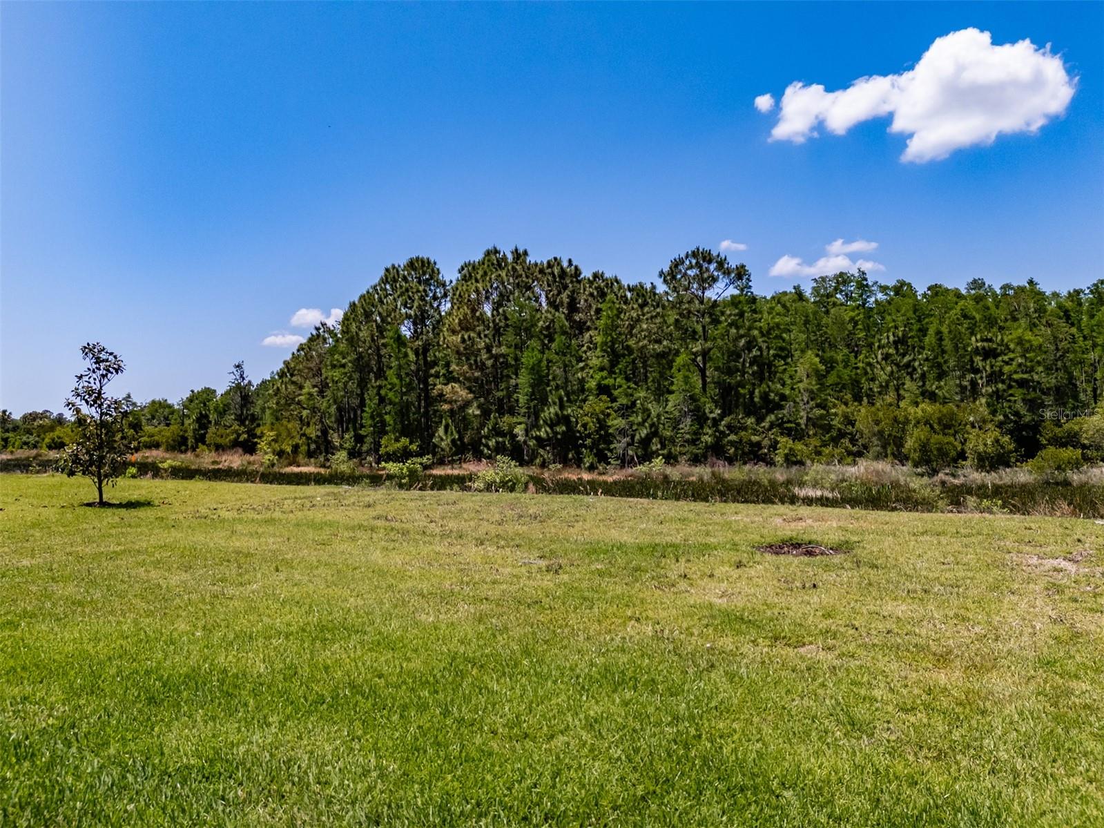 32277 MAHOGANY VALLEY DR, WESLEY CHAPEL, FL, 33543