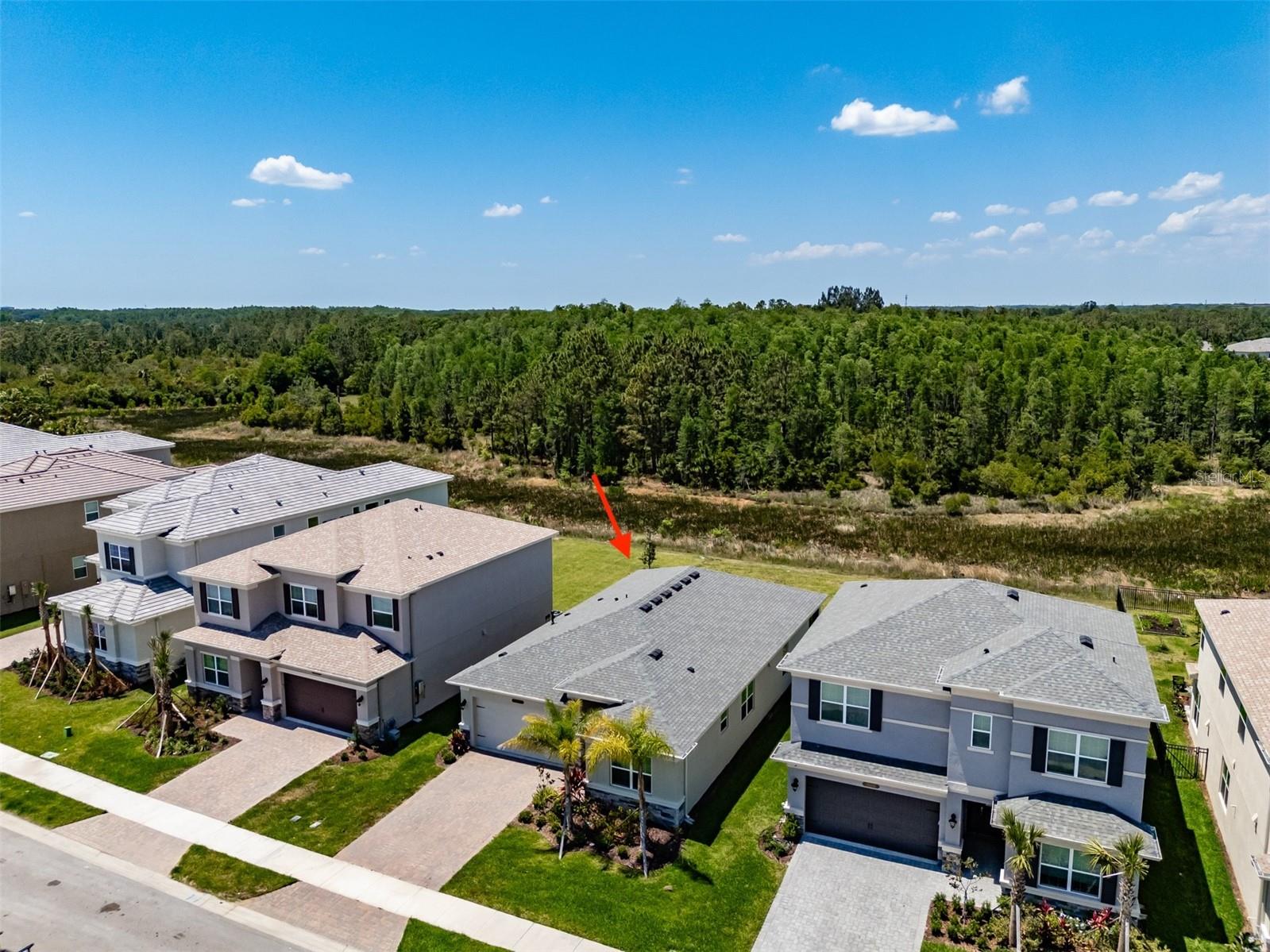 32277 MAHOGANY VALLEY DR, WESLEY CHAPEL, FL, 33543