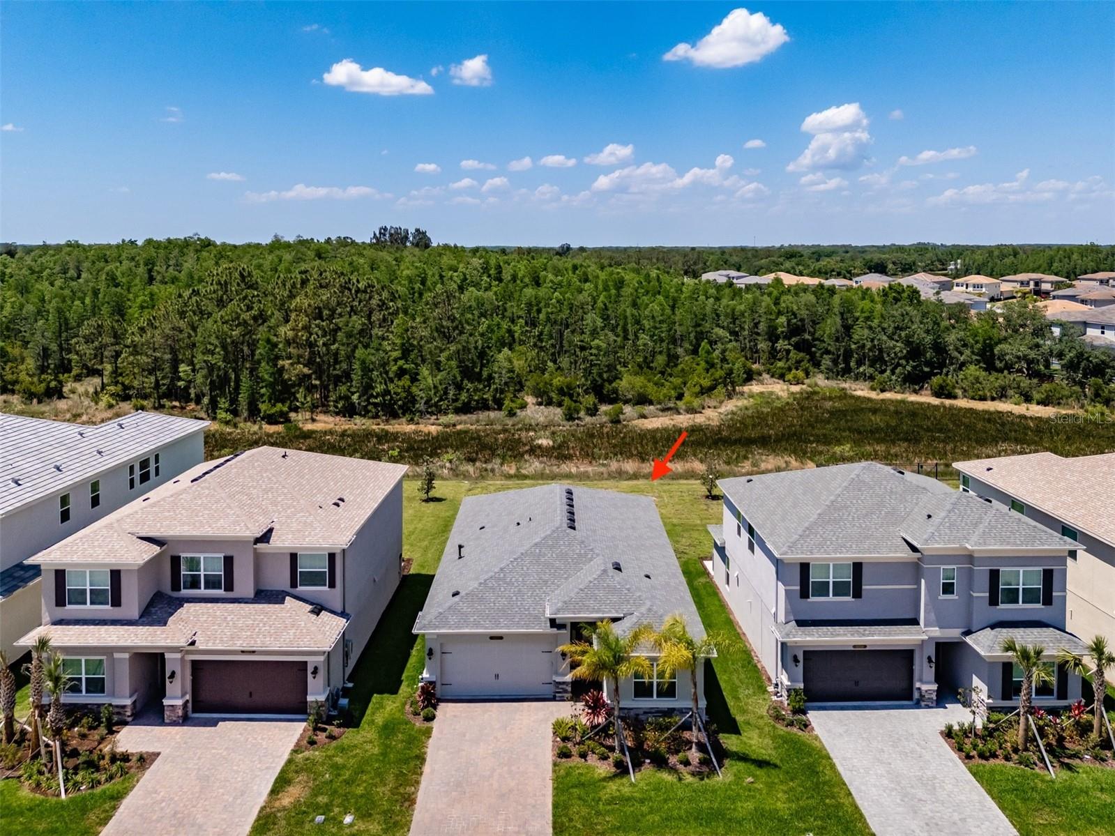 32277 MAHOGANY VALLEY DR, WESLEY CHAPEL, FL, 33543