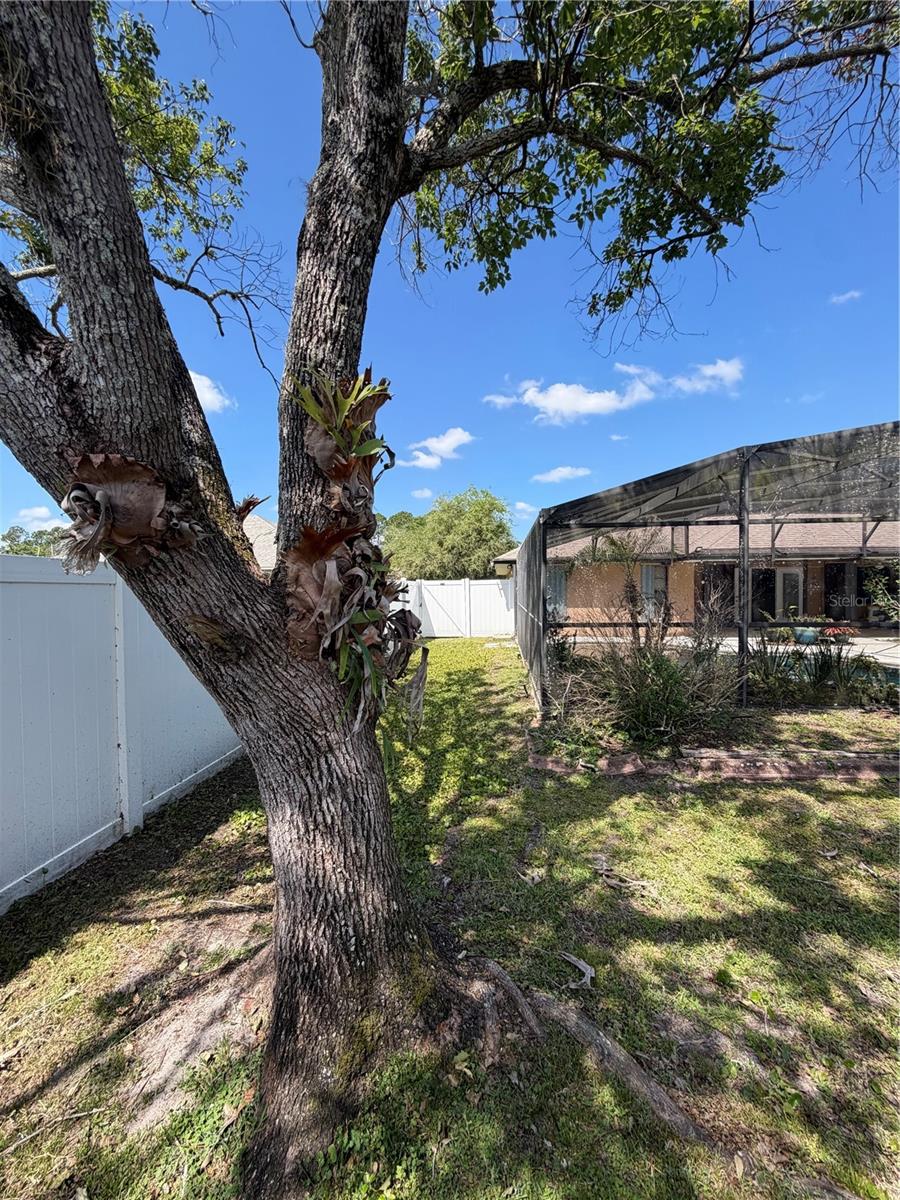 2243 BANCROFT BLVD, ORLANDO, FL, 32833