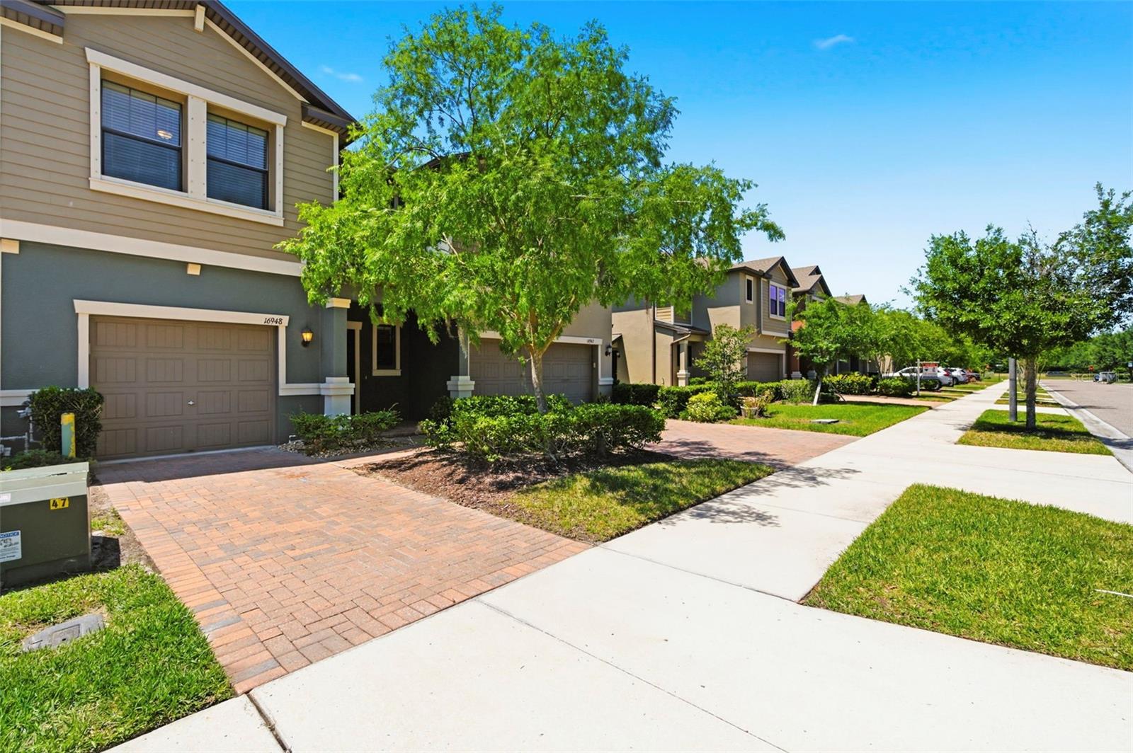 16948 STORYLINE DR, LAND O LAKES, FL, 34638