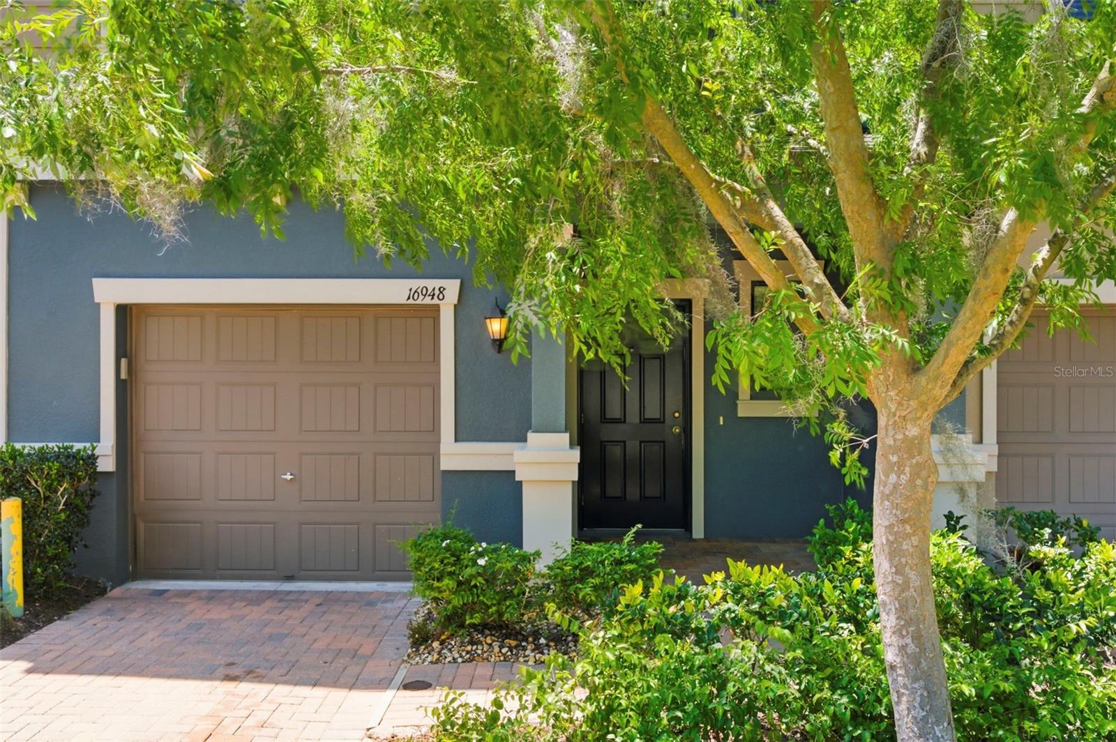 16948 STORYLINE DR, LAND O LAKES, FL, 34638