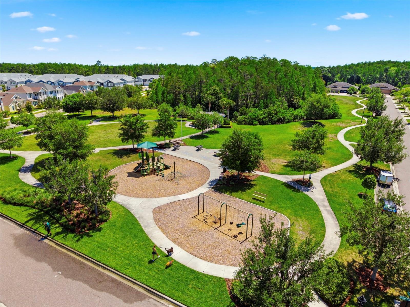 16948 STORYLINE DR, LAND O LAKES, FL, 34638