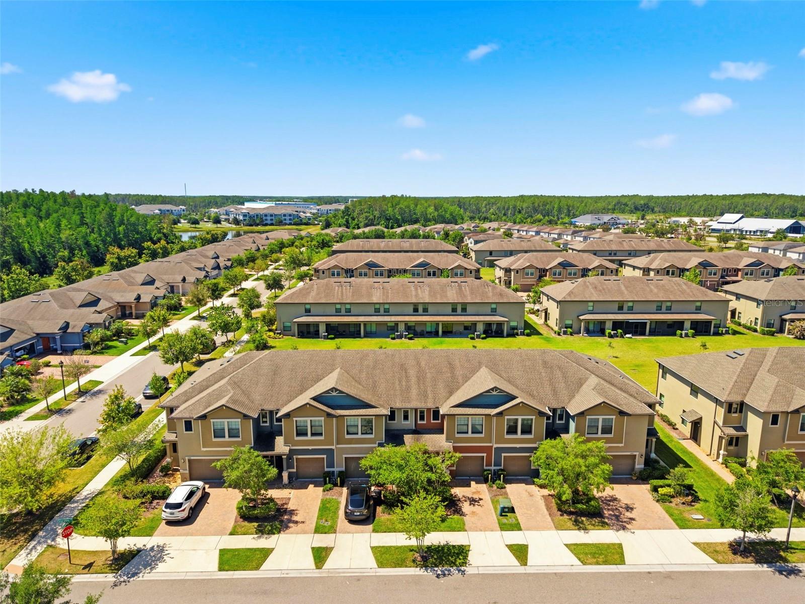 16948 STORYLINE DR, LAND O LAKES, FL, 34638