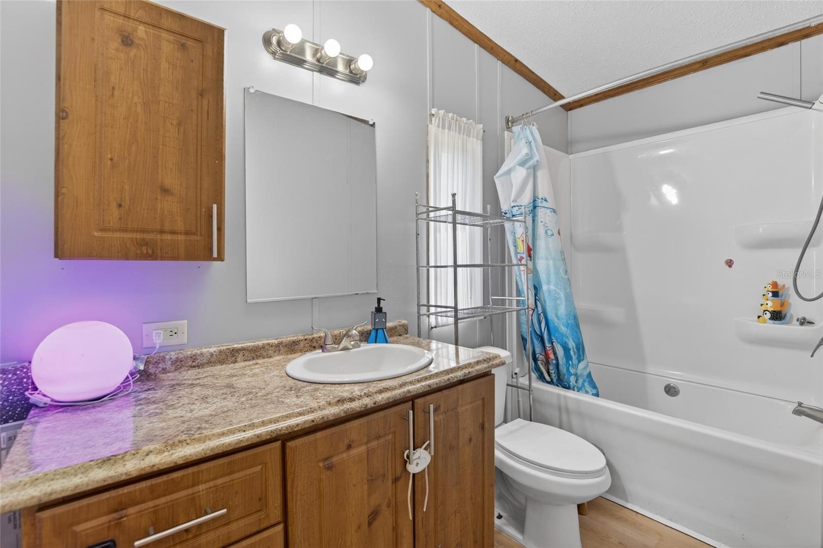 3991 SHADY CT, MULBERRY, FL, 33860