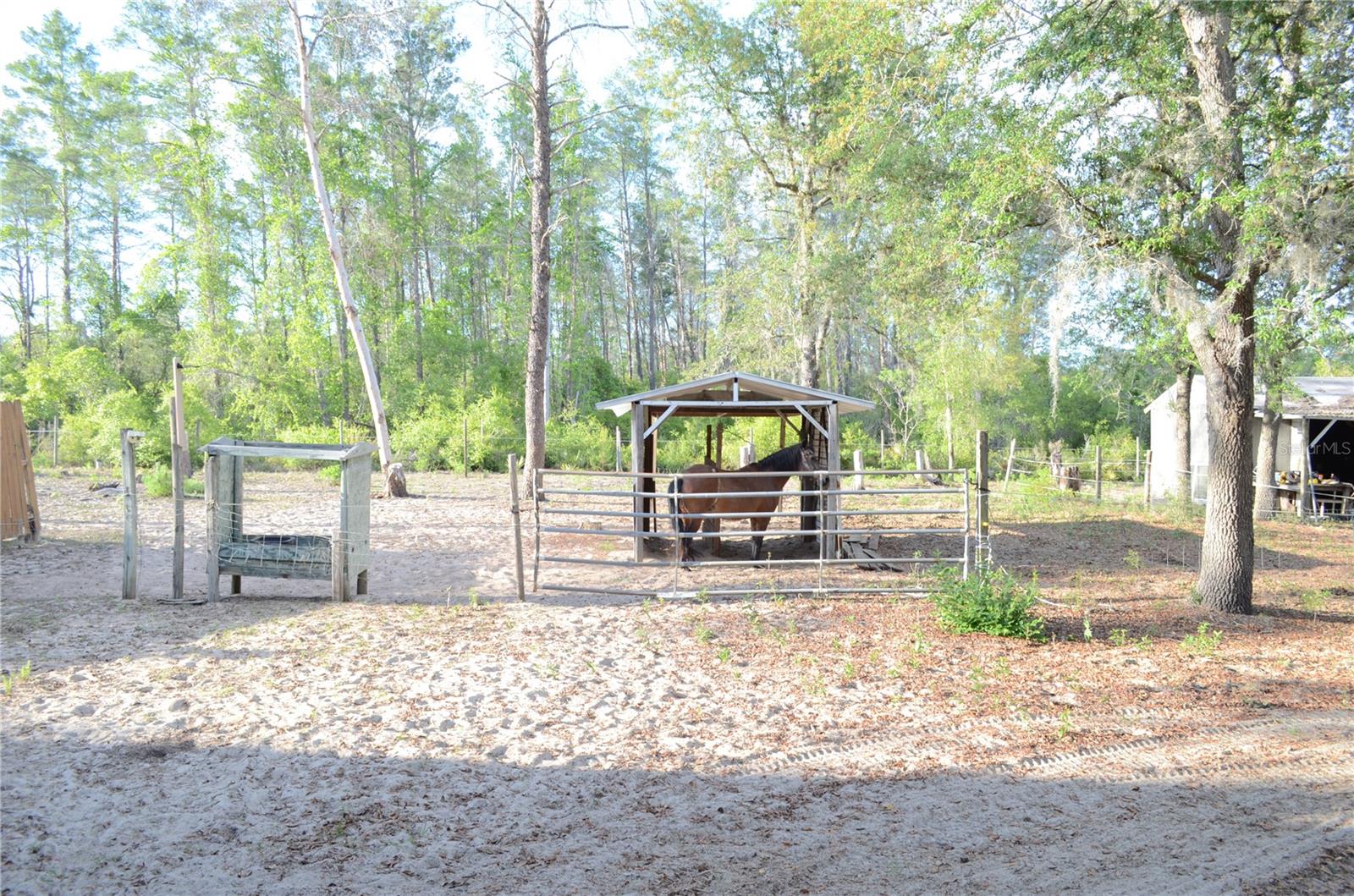 591 SE FISHER RD, OCKLAWAHA, FL, 32179