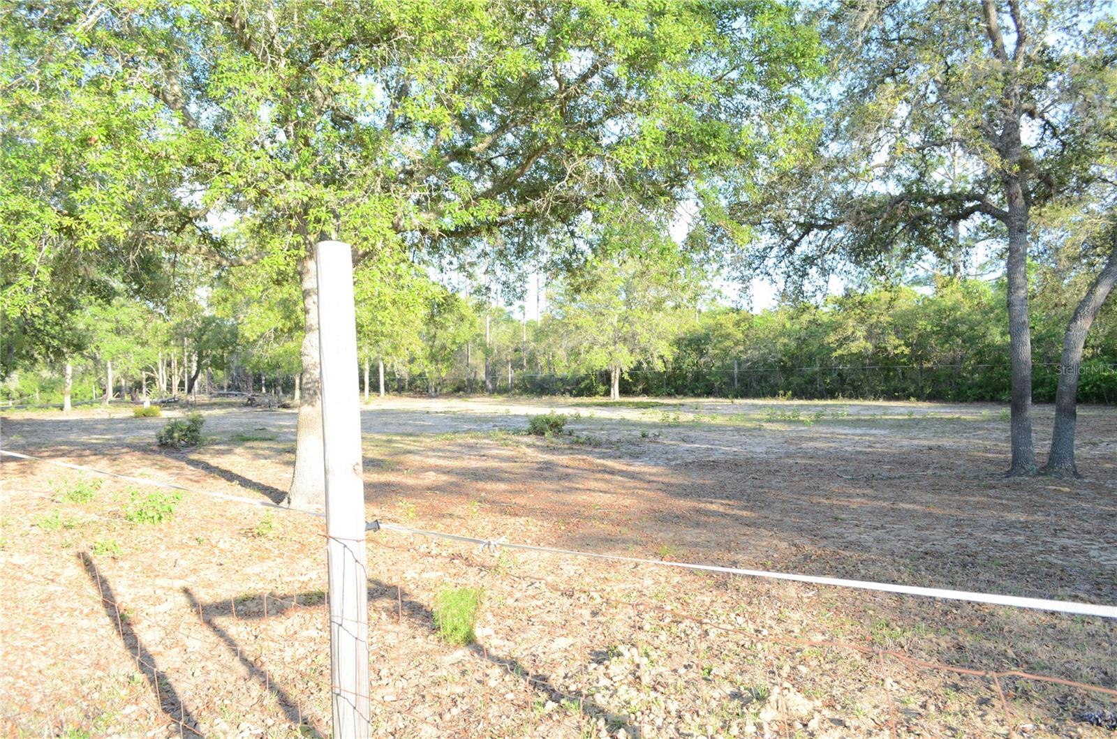 591 SE FISHER RD, OCKLAWAHA, FL, 32179