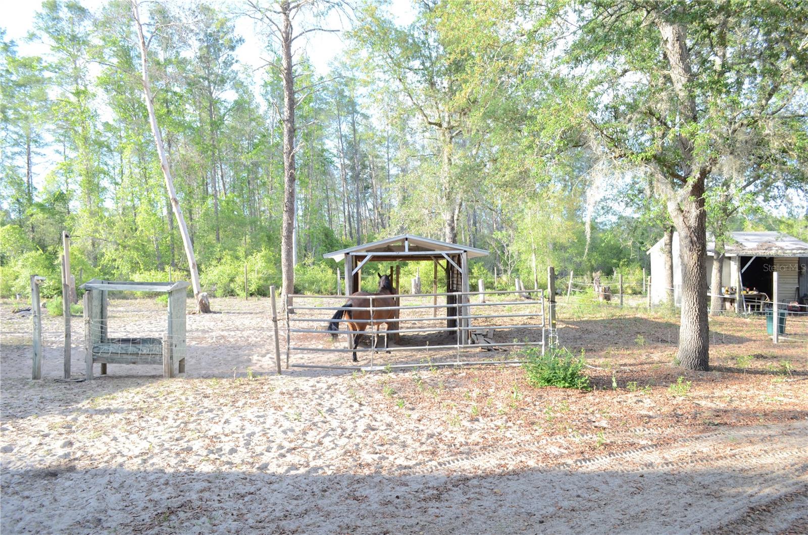 591 SE FISHER RD, OCKLAWAHA, FL, 32179