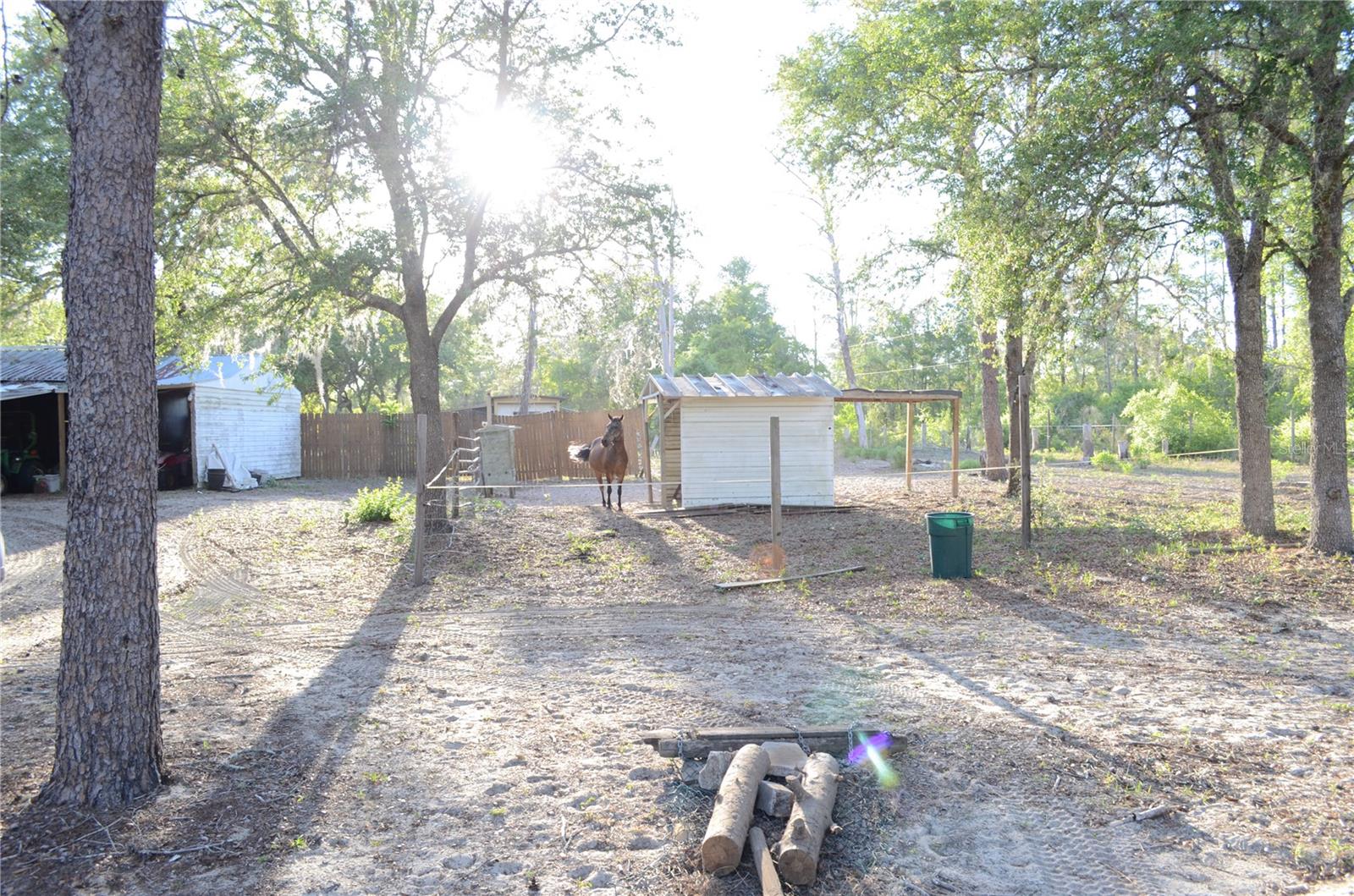 591 SE FISHER RD, OCKLAWAHA, FL, 32179