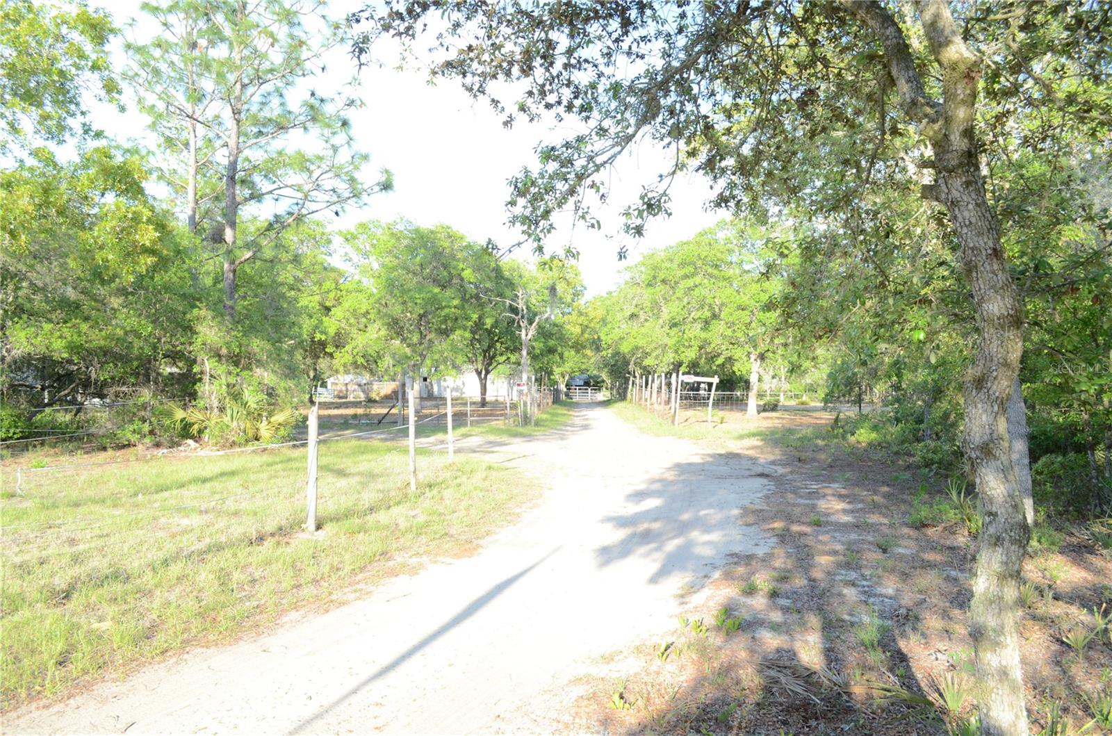 591 SE FISHER RD, OCKLAWAHA, FL, 32179