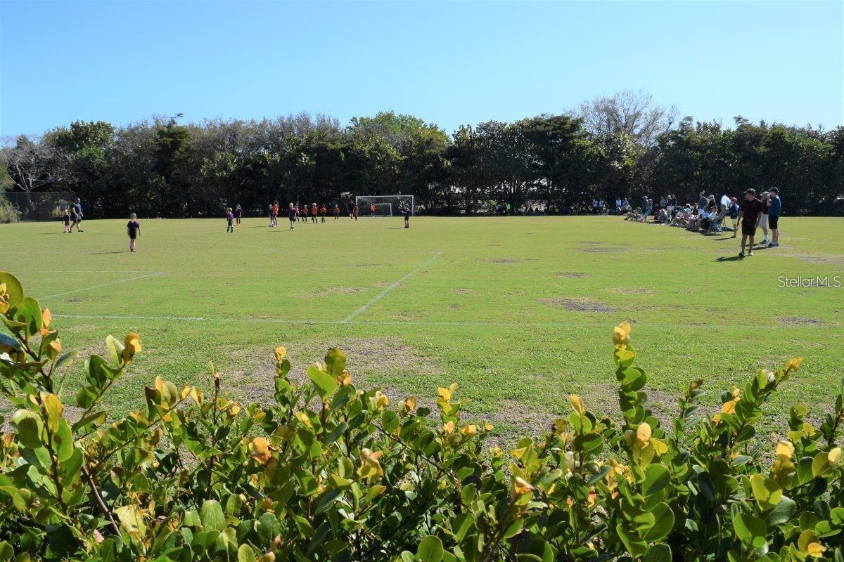 5353 SHADOW LAWN DR, SARASOTA, FL, 34242