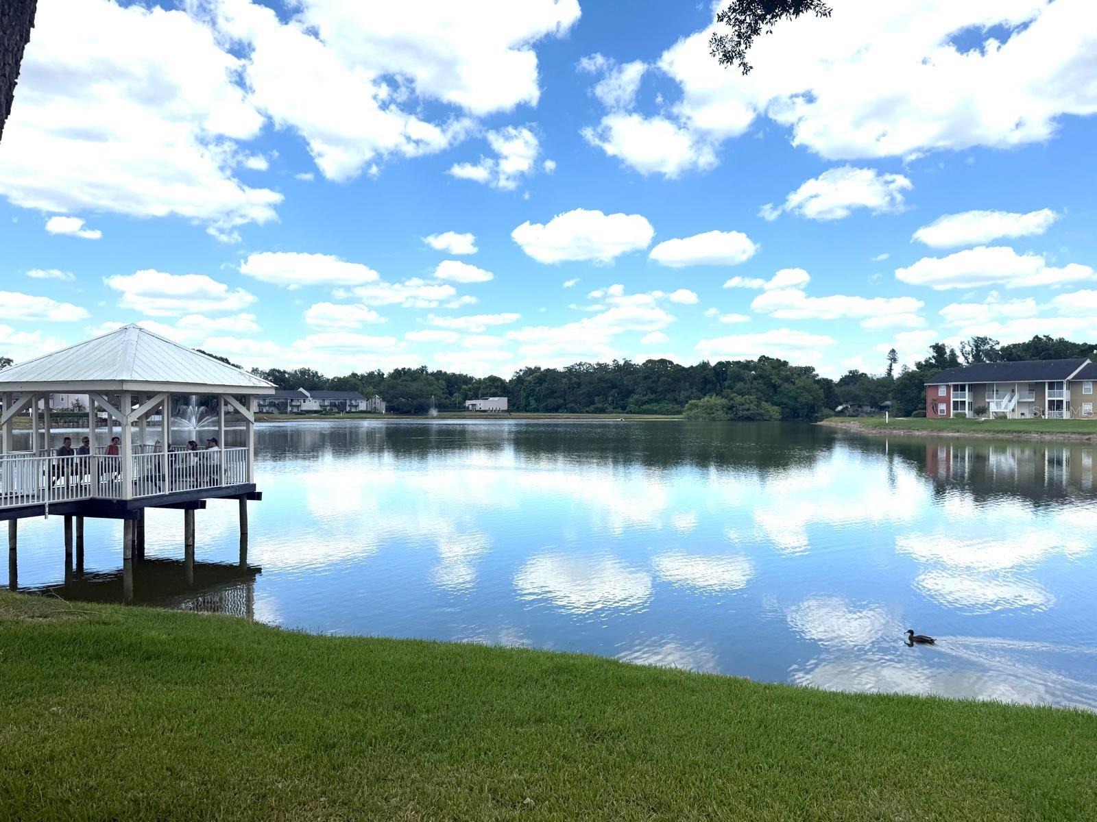 308 LAKE PARSONS GRN #206, BRANDON, FL, 33511
