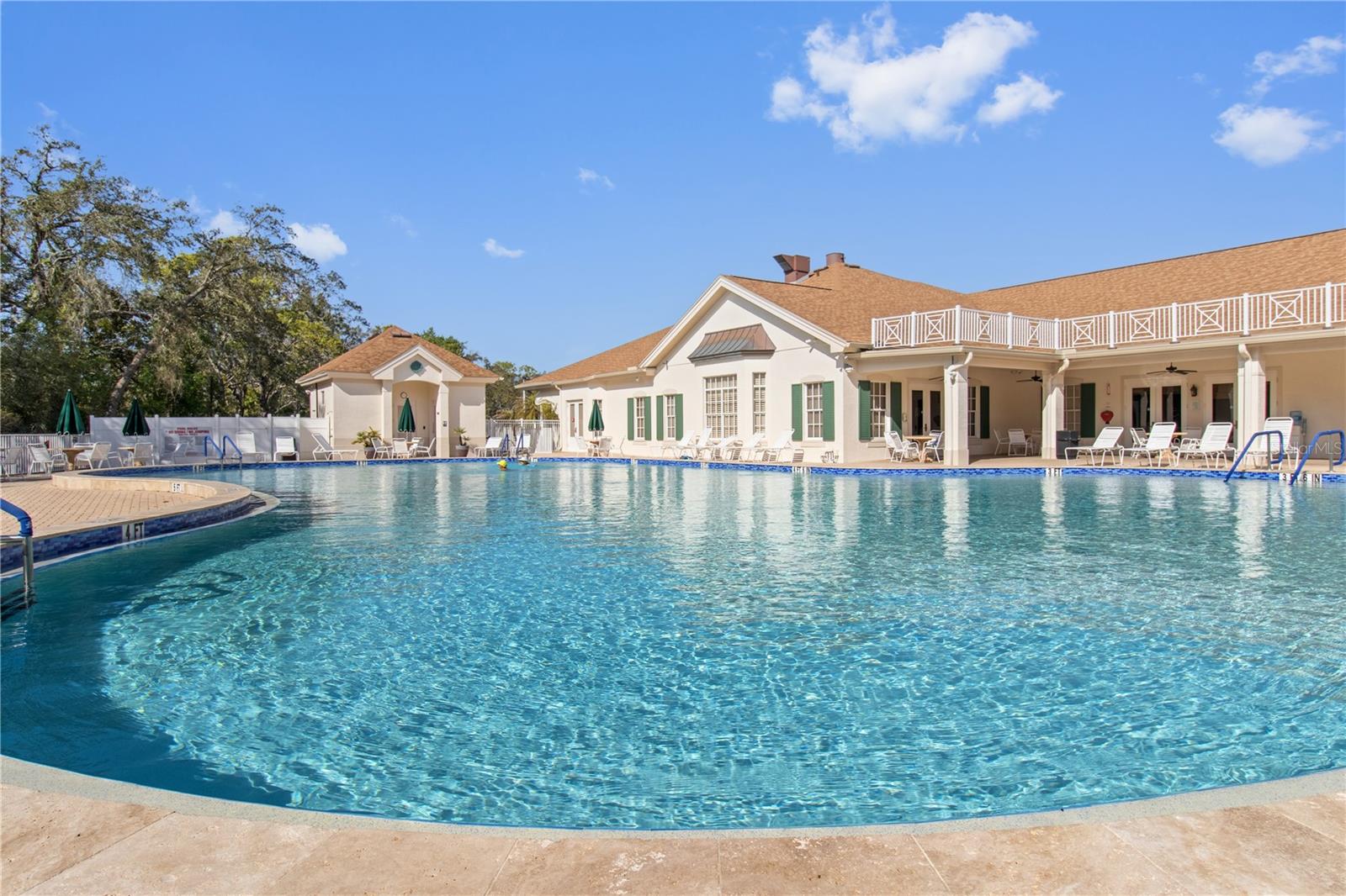 11704 NEW HAVEN DR, SPRING HILL, FL, 34609