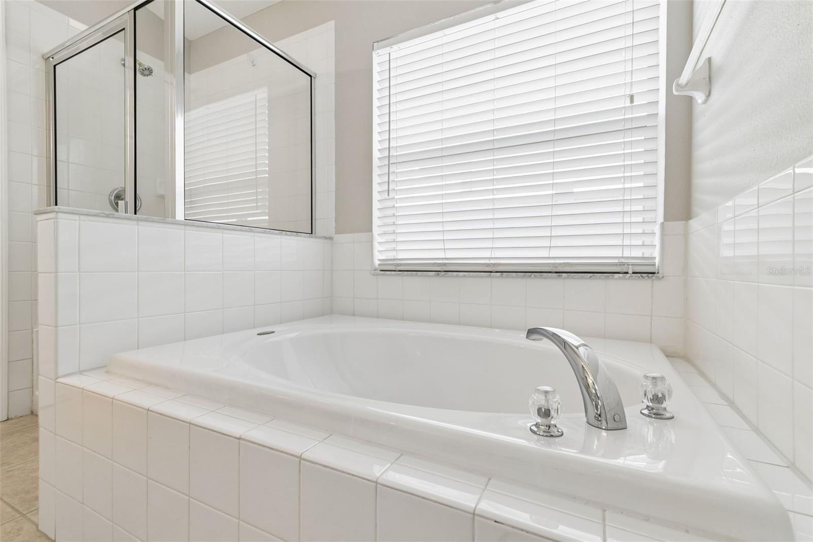 13226 EVENING SUNSET LN, RIVERVIEW, FL, 33579