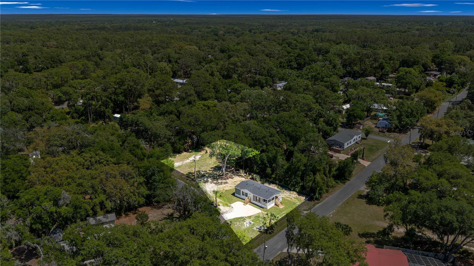 17360 SE 65TH ST, OCKLAWAHA, FL, 32179