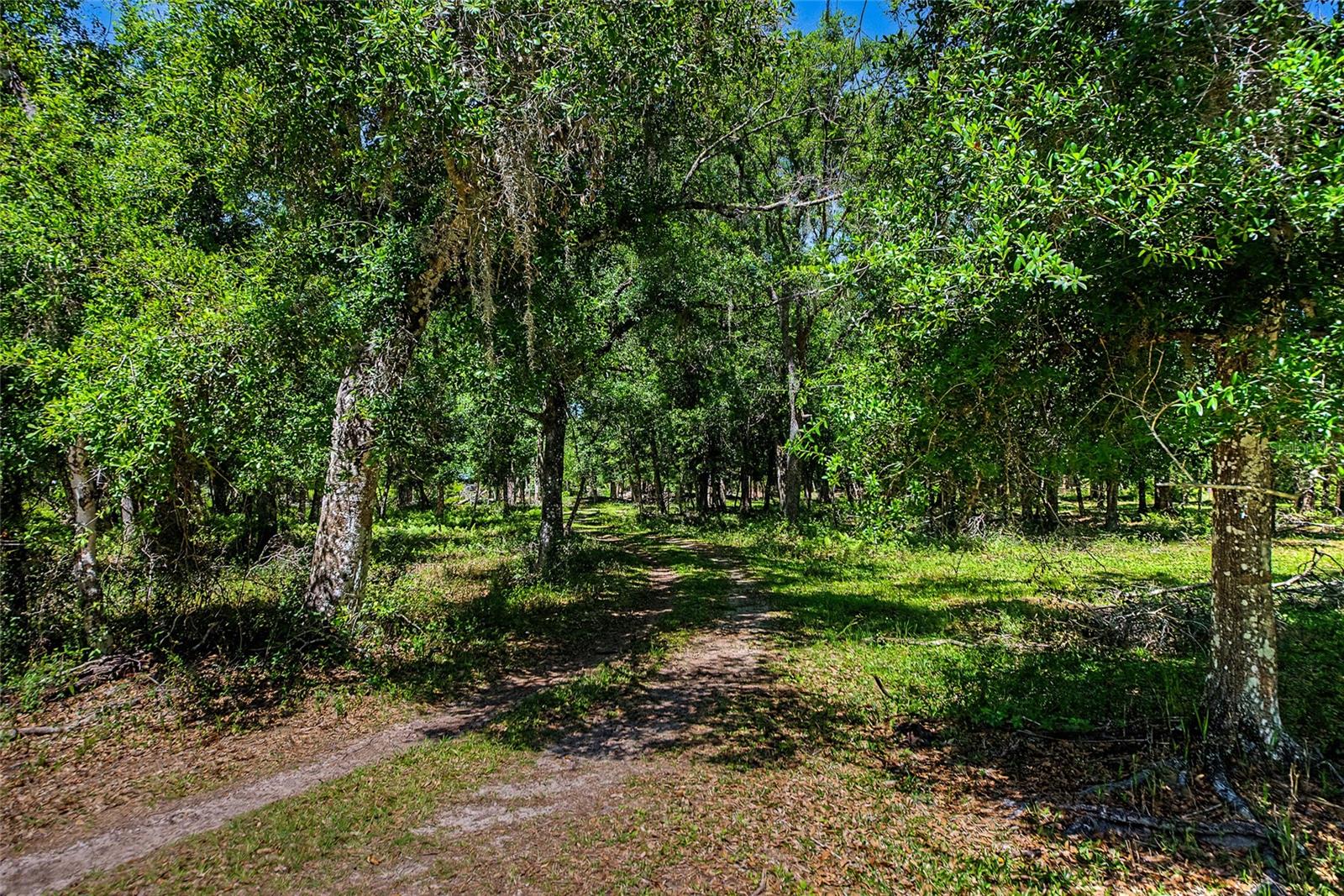 15750 WILSON RD, SARASOTA, FL, 34240